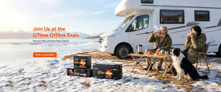 Perfect Cell Fish LiTime UK: LiFePO4 Lithium Leisure & Solar Batteries