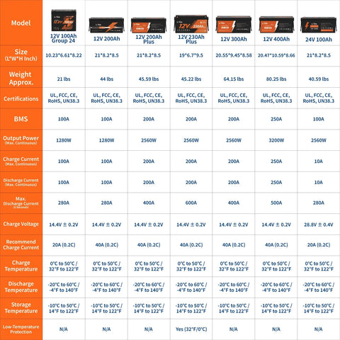 LiTime 12V 100Ah Group 24 Deep Cycle LiFePO4 Lithium Battery